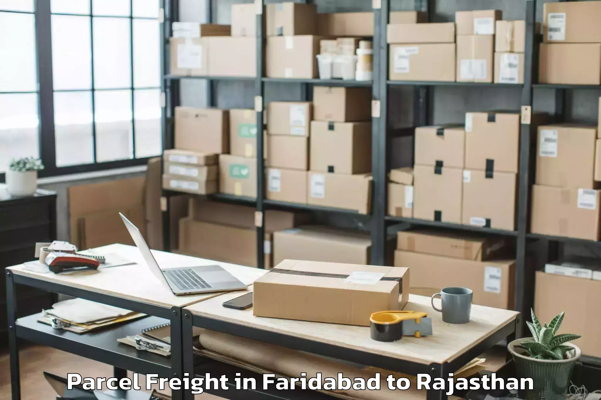 Efficient Faridabad to Gogunda Parcel Freight